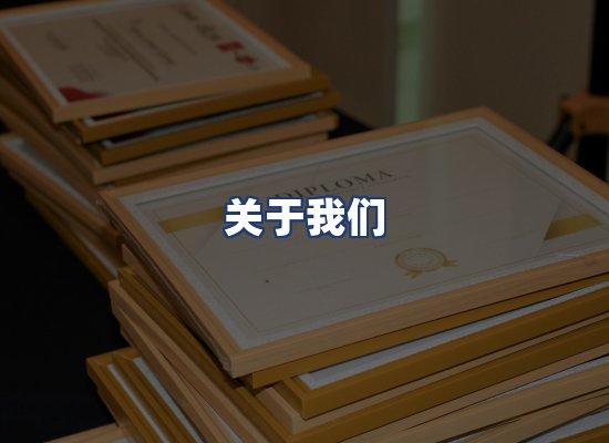 关于我们